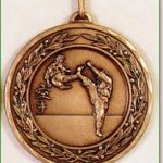 Martial Arts Medal - 50mm