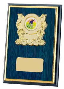 Blue Coloured Wooden Plaques