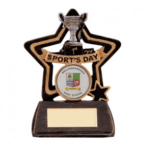 Resin School Trophies For Sports Day