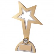Resin Star Trophies In Antique Gold Coloured Finish