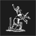 Cricket Scene Logo
