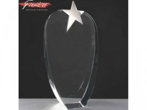 Fusion Crystal Awards With Chrome Star Supplied In Velvet Lined Presentation Case. Price Includes Engraving.