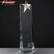 Wedge Fusion Crystal Awards With Chrome Star Supplied In Velvet Lined Presentation Box. Price Includes Engraving