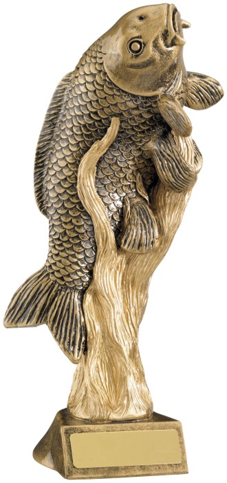 Resin Fishing Trophies in Antique Gold Coloured Finish