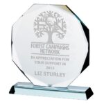 Octagon Shaped Jade Glass Awards Supplied In Presentation Box. Price Includes Engraving